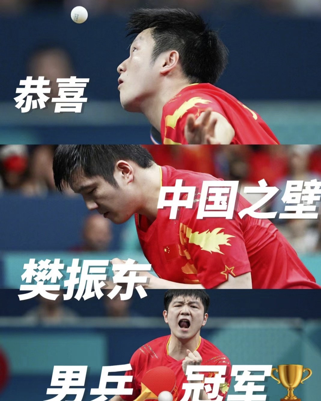 中国队鏖战瑞典队，樊振东高光表现