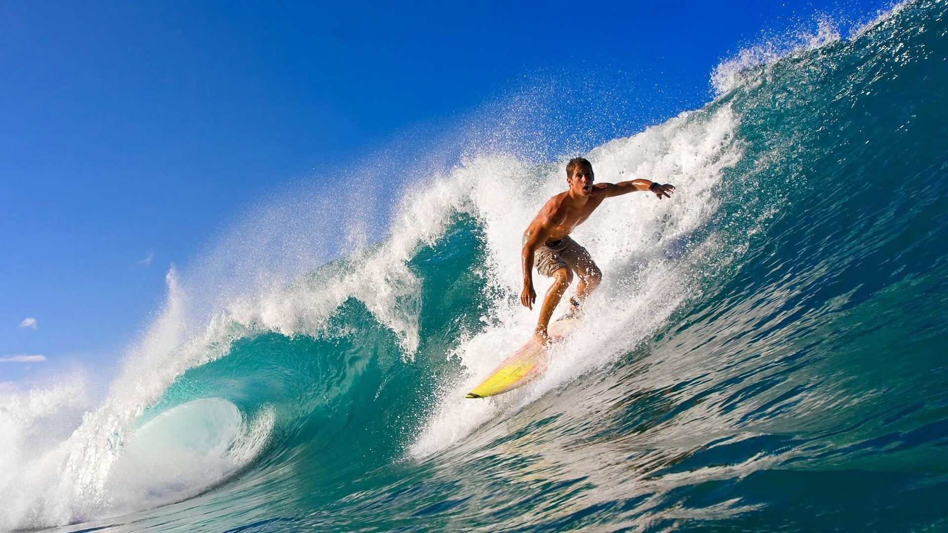 铁血辽宁，收割之战，季后赛焦点战中的王者风范